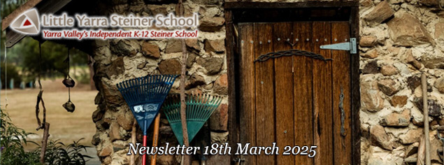 LYSS Newsletter 18 March 2025