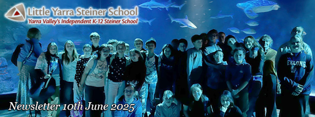 LYSS Newsletter 10 June 2025