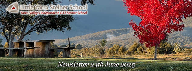 LYSS Newsletter 24 June 2025