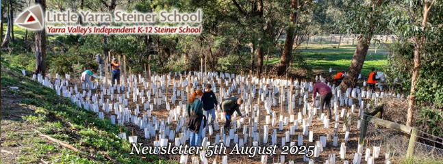 LYSS Newsletter 5 Aug 2025