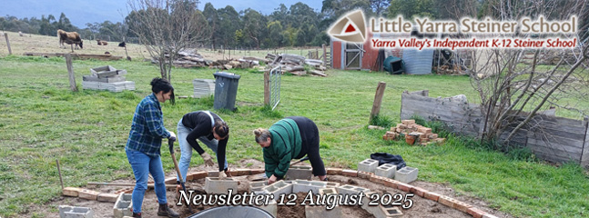 LYSS Newsletter 12 Aug 2025