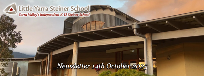 LYSS Newsletter 14 Oct 2025