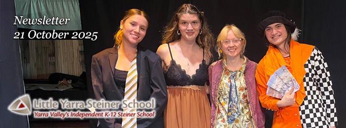 LYSS Newsletter 28 Oct 2025