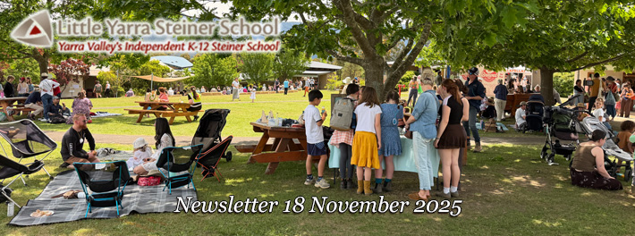 LYSS Newsletter18 Nov 2025