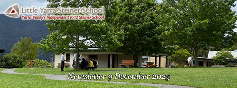 LYSS Newsletter 9 Dec 2025