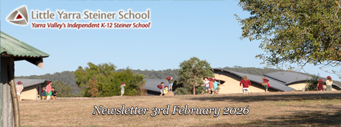 LYSS Newsletter 3 Feb 2026