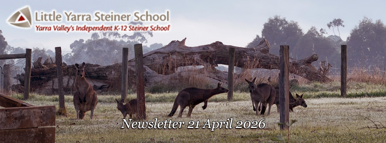 LYSS Newsletter 21 April 2026