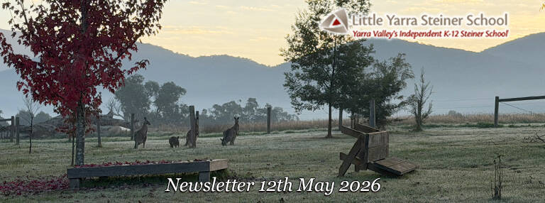 LYSS Newsletter 12 May 2026