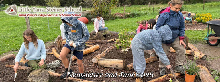 LYSS Newsletter 2 June 2026