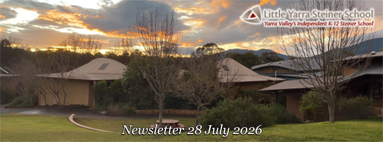 LYSS Newsletter 28 July 2026 Masthead