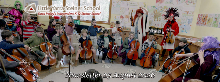 LYSS Newsletter 25 Aug 2026