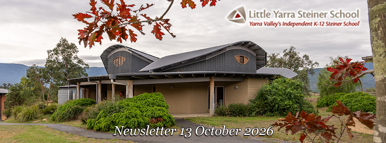 LYSS Newsletter 13 October 2026